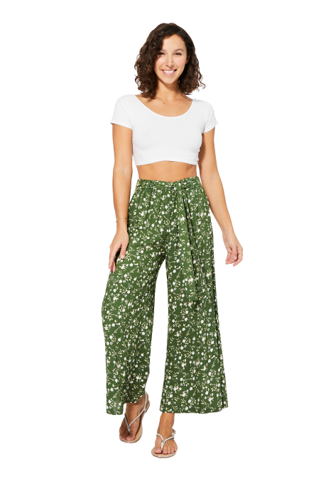 PAV0105B PAV0105B